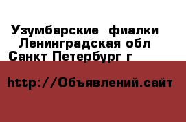 Узумбарские  фиалки - Ленинградская обл., Санкт-Петербург г.  »    